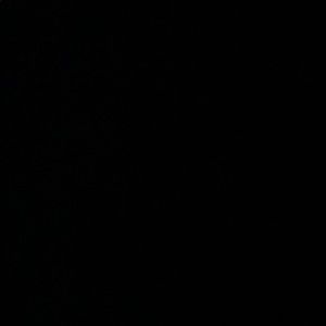 Meet your Posher, Andre